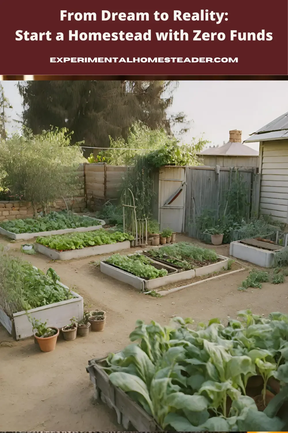 A homestead with raised bed gardens.