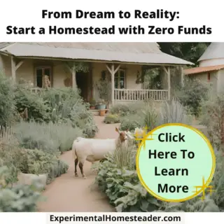 A homestead with a goat and gardens in front.