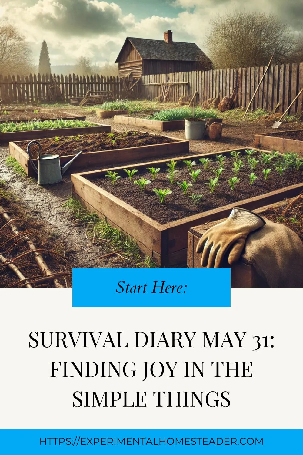 A rustic homestead garden with raised beds, young seedlings, and damp soil under a partly cloudy sky.