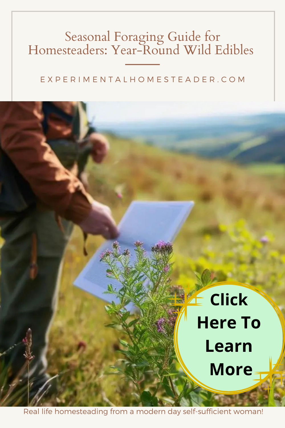 Someone holding a foraging journal.