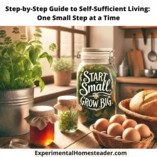 A cozy kitchen bathed in sunlight, featuring jars of homemade preserves, a basket of fresh eggs, and a loaf of bread on a wooden countertop. A potted basil plant sits on the windowsill, and the motivational text overlay reads, 