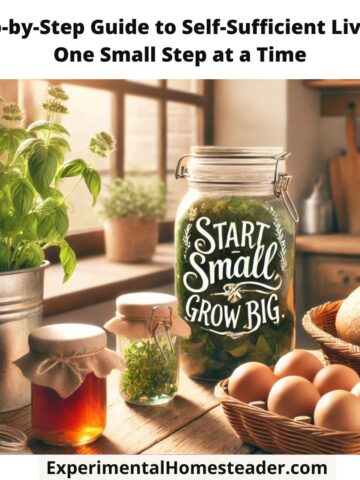 A cozy kitchen bathed in sunlight, featuring jars of homemade preserves, a basket of fresh eggs, and a loaf of bread on a wooden countertop. A potted basil plant sits on the windowsill, and the motivational text overlay reads, "Start Small, Grow Big."