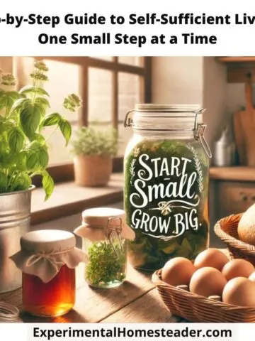 A cozy kitchen bathed in sunlight, featuring jars of homemade preserves, a basket of fresh eggs, and a loaf of bread on a wooden countertop. A potted basil plant sits on the windowsill, and the motivational text overlay reads, "Start Small, Grow Big."