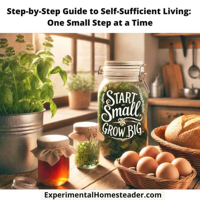 A cozy kitchen bathed in sunlight, featuring jars of homemade preserves, a basket of fresh eggs, and a loaf of bread on a wooden countertop. A potted basil plant sits on the windowsill, and the motivational text overlay reads, "Start Small, Grow Big."
