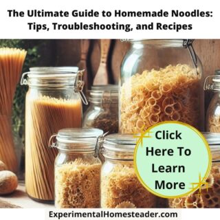 A cozy homesteading pantry with jars of dried homemade noodles and hanging herbs, illustrating sustainability and resourcefulness.