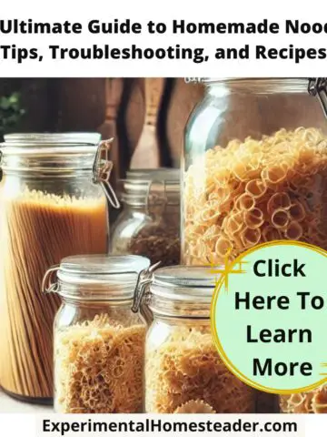 A cozy homesteading pantry with jars of dried homemade noodles and hanging herbs, illustrating sustainability and resourcefulness.