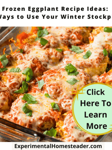 Frozen eggplant recipe ideas, winter stockpile tips for homesteaders, healthy vegetable storage solutions.