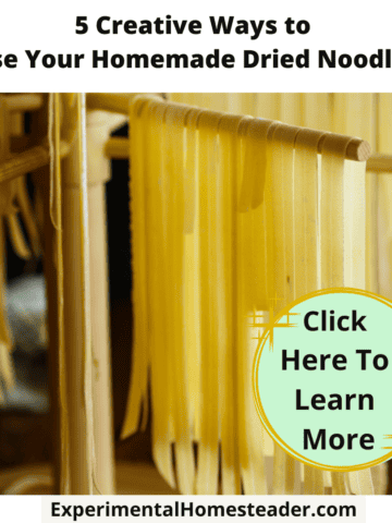 Homemade dried noodles hanging on drying rack for creative cooking ideas.