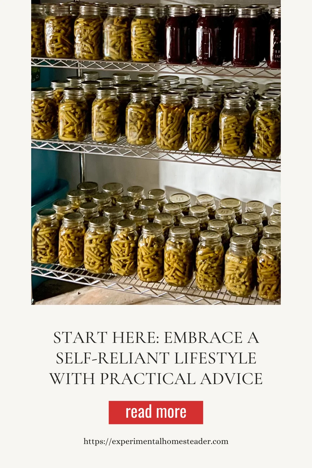 Shelves lined with jars of preserved food, including green beans and other canned goods, at Exotic Gardening Farm.