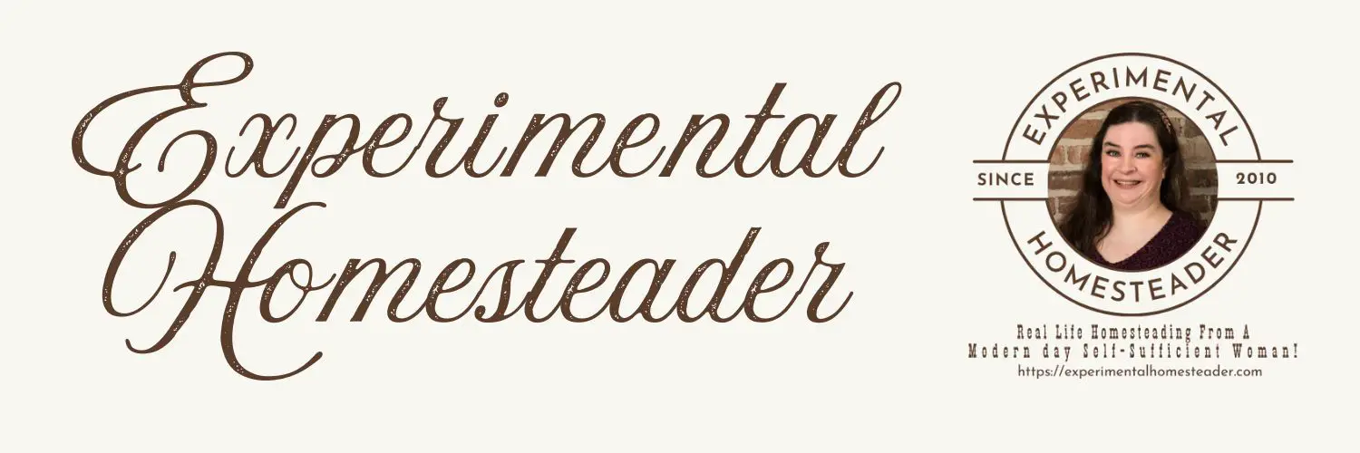 Experimental Homesteader