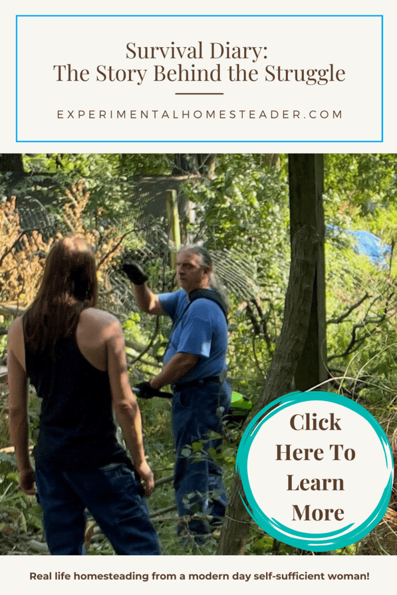 Survival Diary The Story of Resilience and Struggle