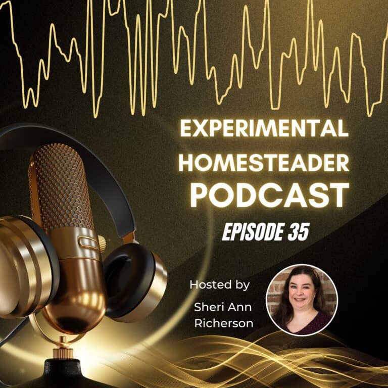 Mic golden podcast microphone with headphones for experimental homesteader podcast.