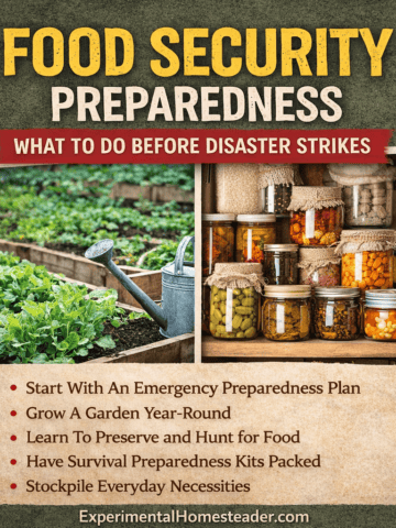 Food security preparedness graphic showing a home garden and pantry storage with steps to take before disaster strikes.