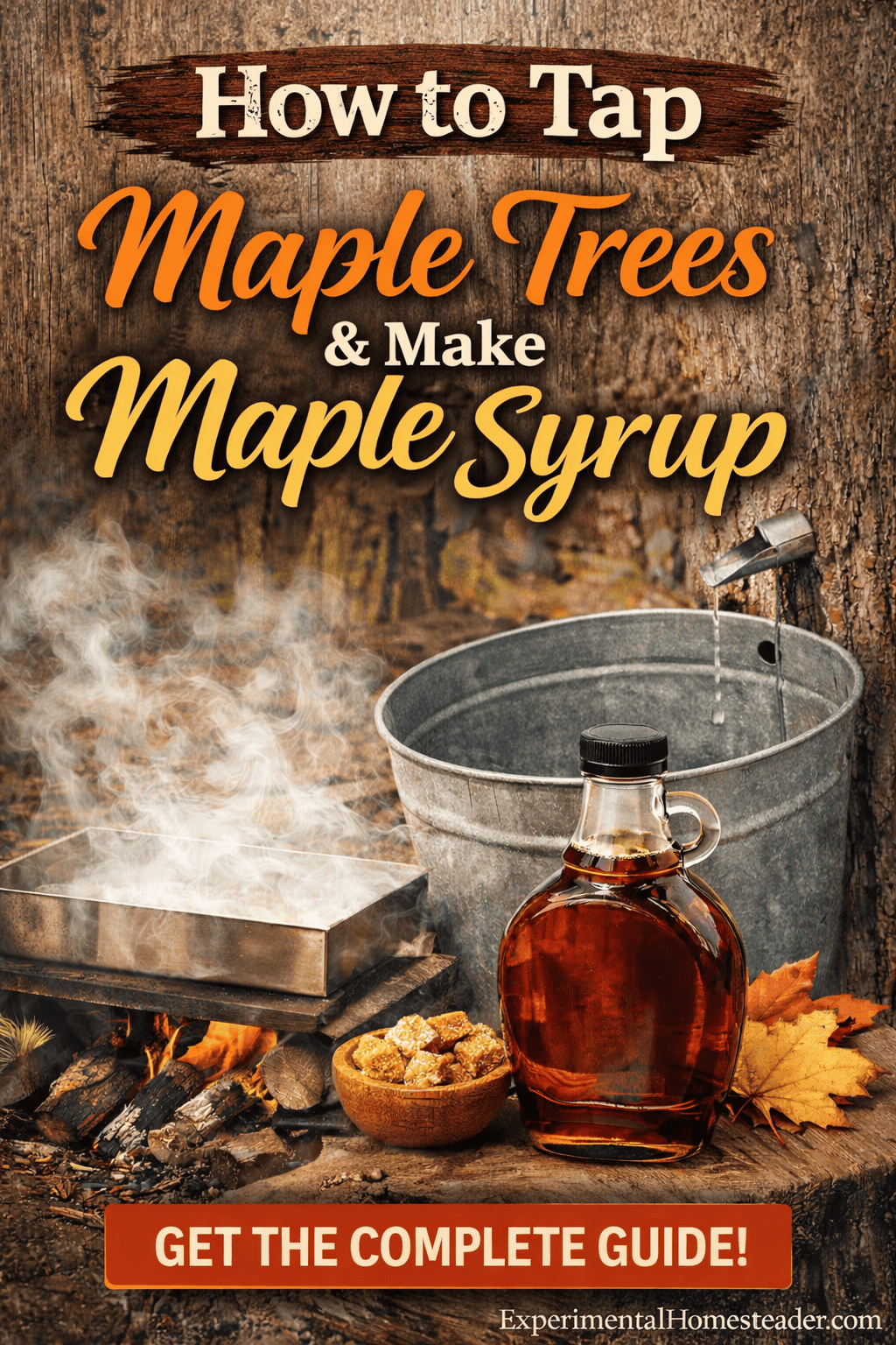 How to tap maple trees and make maple syrup outdoors, featuring sap bucket, boiling pan over fire, finished syrup bottle, and ExperimentalHomesteader.com