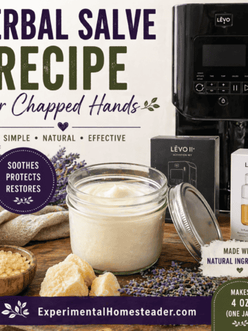 Herbal salve recipe for chapped hands made with LEVO II infusion machine alongside mason jar of finished salve and natural ingredients.