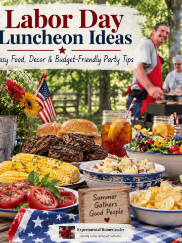 Labor Day luncheon with grilled burgers, corn, garden salad, potato salad and iced tea at an outdoor cookout