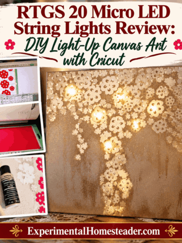 DIY Light-Up Canvas Art with Cricut - Experimental Homesteader tutorial image