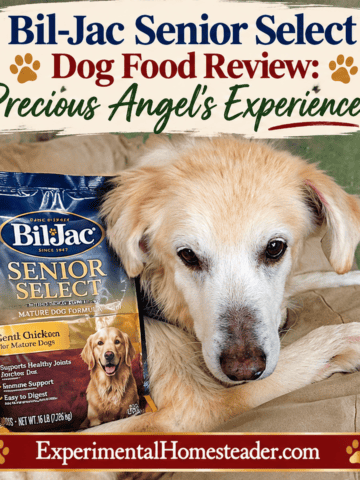 Bil-Jac Senior Select Dog Food Review - blog and Pinterest image