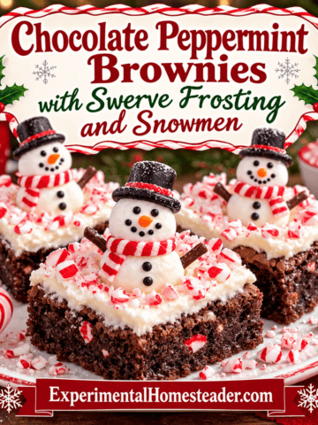 Chocolate Peppermint Brownies with Swerve Frosting and Snowmen - featured recipe image for Experimental Homesteader