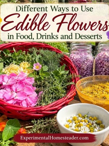 Edible flowers and herbs arranged for ideas using flowers in food, drinks and desserts