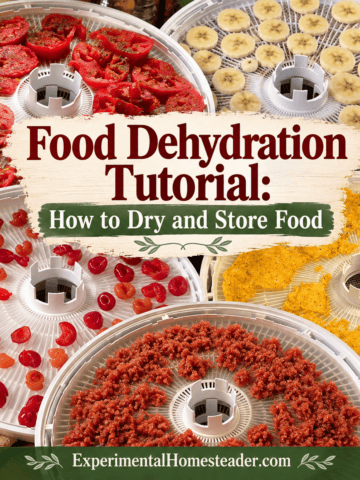 Food Dehydration Tutorial featured graphic with home-dehydrated foods and Experimental Homesteader branding.