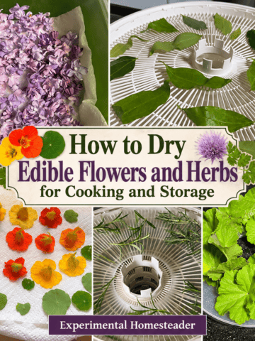 Collage of edible flowers and herbs prepared for drying, including lilacs, nasturtiums and herbs on dehydrator trays