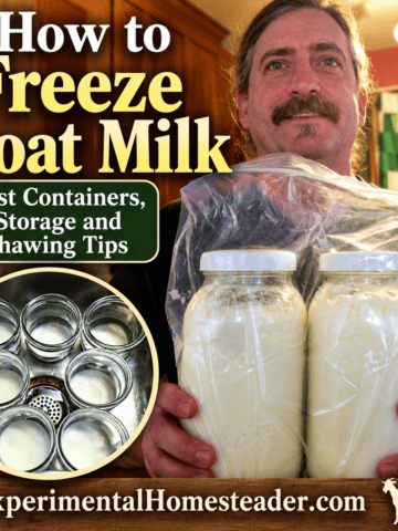How to freeze goat milk with jars of frozen milk and a cooling setup, including storage and thawing tips