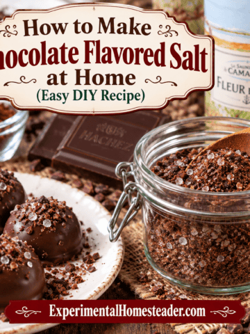 Homemade chocolate flavored salt recipe featured image for Experimental Homesteader