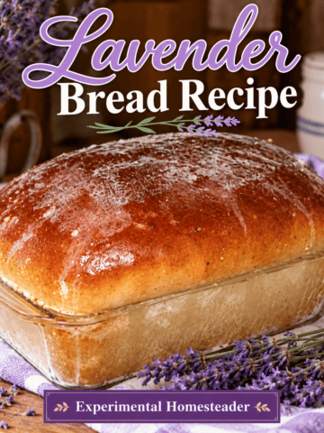 Homemade golden lavender bread loaf in a glass baking pan with lavender flowers and Lavender Bread Recipe title.