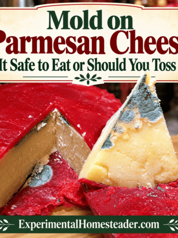 Mold on Parmesan Cheese: Is It Safe to Eat or Should You Toss It? - featured recipe image for Experimental Homesteader