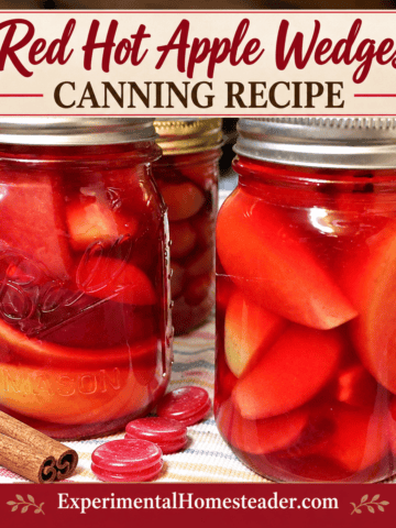Jars of red hot apple wedges in red cinnamon syrup with apples and cinnamon candies, titled Red Hot Apple Wedges Canning Recipe.